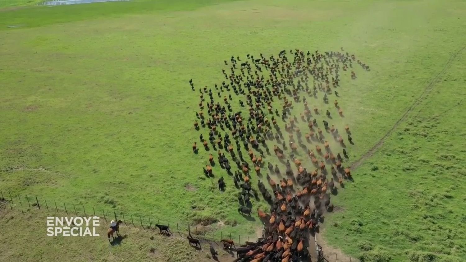 : Vidéo Accord de libre-échange avec le Mercosur : le bœuf argentin de la Pampa va-t-il envahir les supermarchés français ?