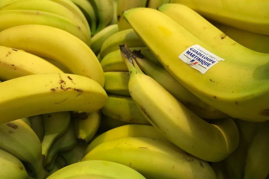 Chute de la production, maladies… Les producteurs de bananes antillais alertent sur une « crise existentielle » de la filière