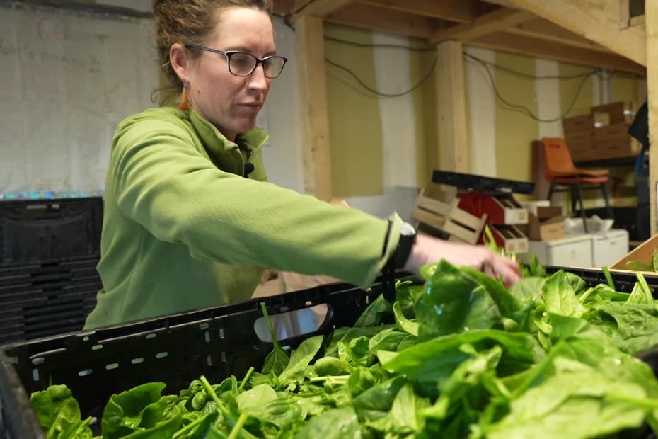 Témoignage. « Il faut consommer et acheter local » : pourquoi les accords de libre-échange posent souci à cette maraîchère bio