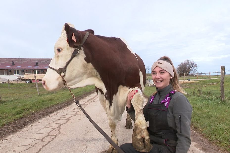 Manon et sa vache apprivoisée : un duo complice en route pour un titre de Miss France Agricole