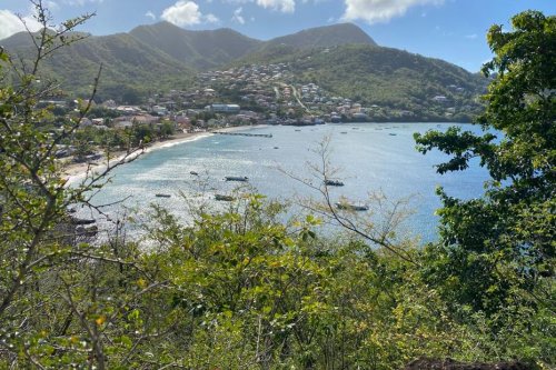 La Martinique, sera-t-elle Réserve mondiale de Biosphère ? La réponse mercredi 15 septembre 2021 - Martinique la 1ère