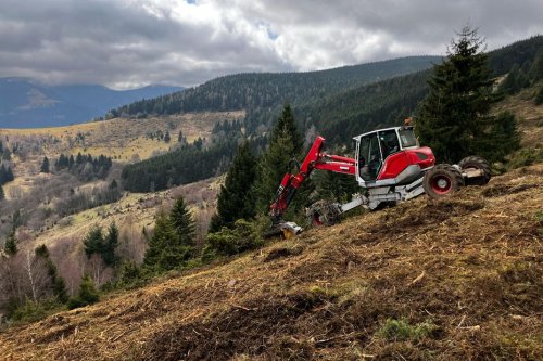 Des pelleteuses arrachent des arbres pour restaurer la nature sur un site protégé, "on espère voir revenir la pensée des Vosges"