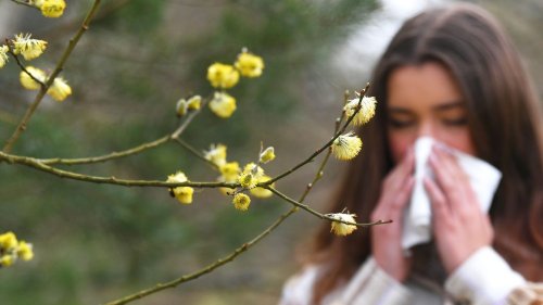 Les allergies croisées aux pollens et à certains fruits augmentent