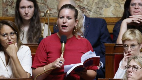 Mathilde Panot traitée de "poissonnière" : la députée LFI veut une sanction contre le député RN
