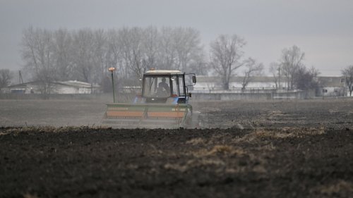 Reportage Guerre en Ukraine : leurs champs minés, les agriculteurs ukrainiens redoutent une deuxième année sans récolte