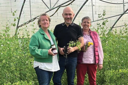 La sorcière qui sauve les légumes oubliés : l'incroyable reconversion écologique de trois passionnés