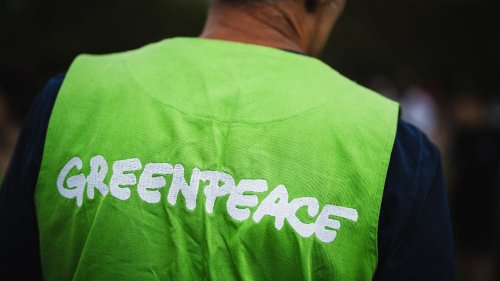 Greenpeace alerte sur la reprise de la pêche intensive autorisée par Donald Trump dans la plus grande zone maritime protégée au monde