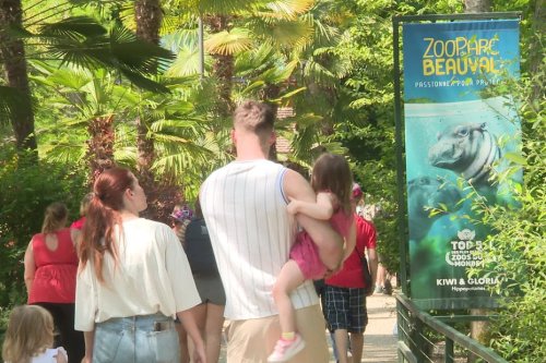 Comment le zoo de Beauval gère une hausse de fréquentation, après le record de l'Ascension
