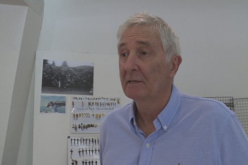 Salon des collectionneurs à Nouméa : portrait d’un passionné de pêche à la mouche - Nouvelle-Calédonie la 1ère