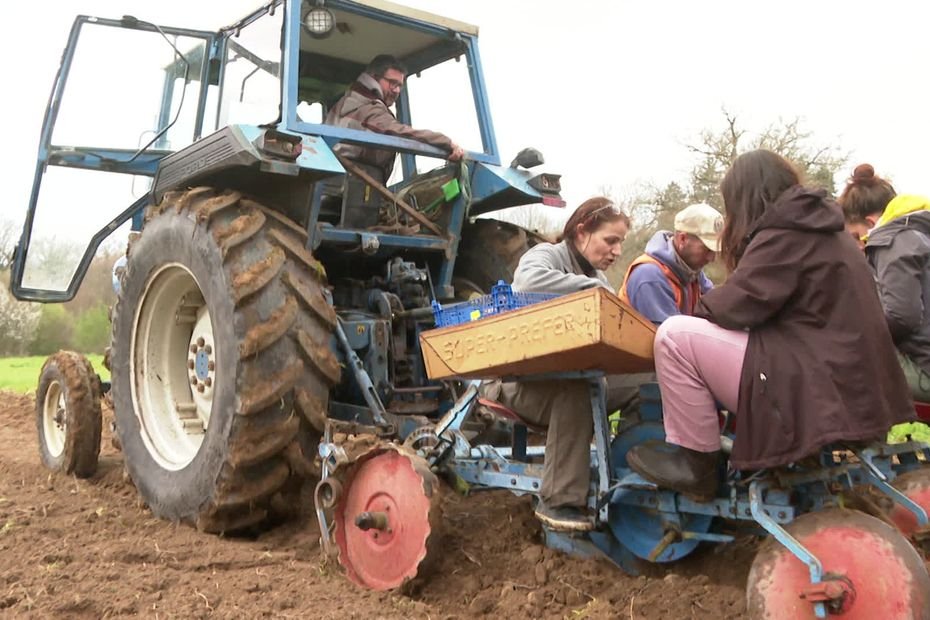 « C’est la première fois que je vois une planteuse à patates » : ce tiers lieu nourricier rassemble les familles autour du maraîchage
