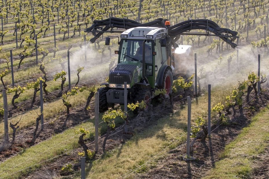 Viticulture. « Il y a fongicides naturels et chimiques » : trois départements d’Occitanie accros aux pesticides