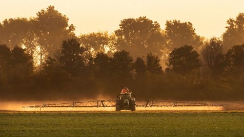 Pesticides : des "polluants éternels" toujours plus présents dans les fruits et légumes en Europe, dénoncent des ONG