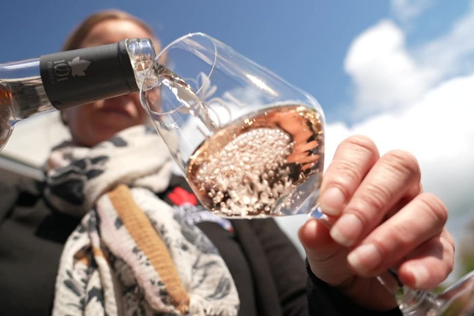 Dérèglement climatique : pourquoi Braceilles ne produira pas de vin rouge cette année