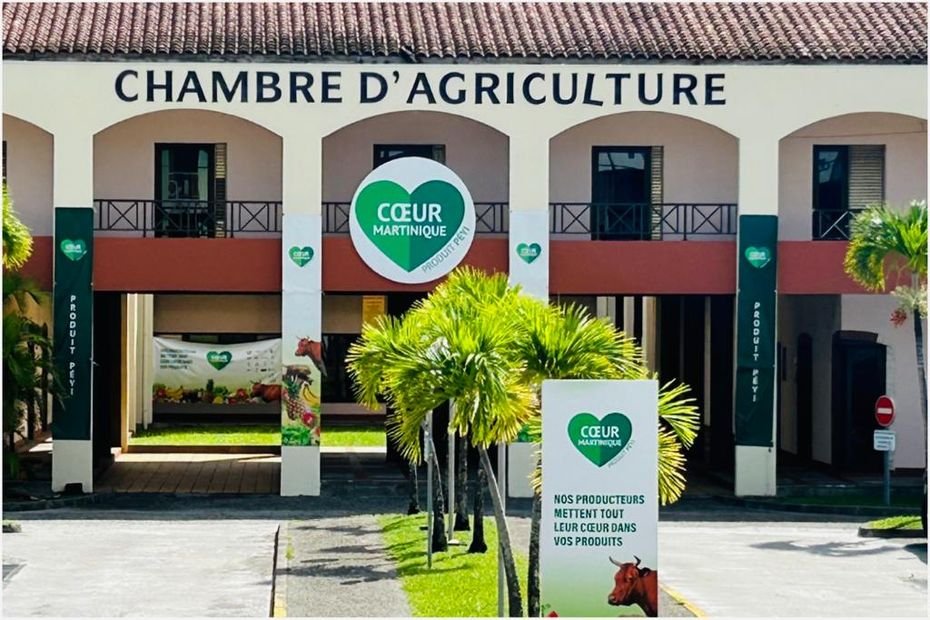 La chambre d’agriculture de Martinique élit son prochain président