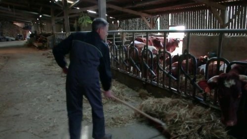 Mayenne : dans la famille Piquet, l'agriculture bio est une affaire de famille