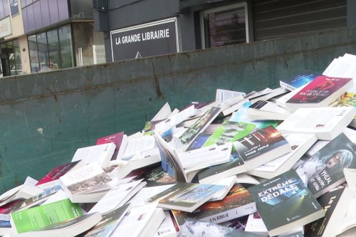 "À pleurer", "complètement honteux" : 60 tonnes de livres jetées à la poubelle après la faillite de "La grande librairie"