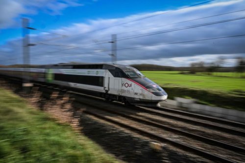 Un train heurte un troupeau sur la ligne Dijon - Paris, le trafic TER perturbé jusqu'à 10 heures prévient la SNCF