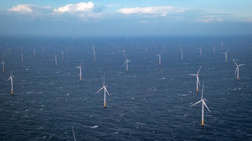N'y a-t-il "qu'une éolienne offshore en France", comme le dit Yannick Jadot ?
