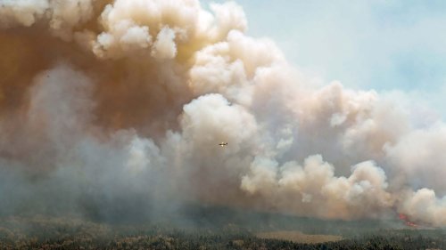 Incendies au Canada : le Québec touché à son tour et forcé d'évacuer 11 000 personnes
