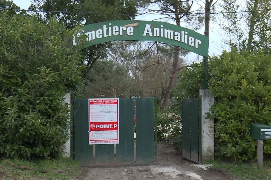 France 3 Toutes Régions - cover