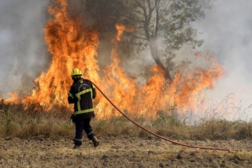 Sécheresse: la préfecture du Bas-Rhin interdit l'accès à certaines forêts pour prévenir les départs de feu