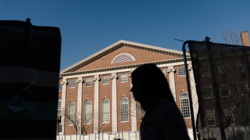 Aux Etats-Unis, l'université Harvard poursuit l'administration Trump en justice contre le gel de ses subventions