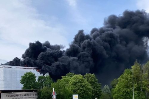 Un important incendie se déclare à côté de l'aéroport de Genève, le trafic aérien temporairement perturbé
