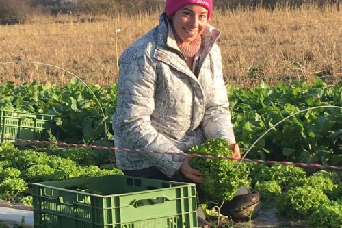 "Avec un Bac +5 dans la finance, je suis un Ovni dans le monde agricole !" Marina, agricultrice dans le Rhône