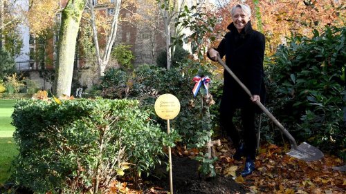 "Anticipant le dérèglement climatique", Elisabeth Borne plante un chêne vert au feuillage "persistant" à Matignon