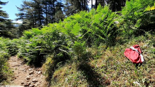 En randonnée sur le GR 20 en Corse : "quand vous voyez le slip rouge, c'est que vous êtes arrivés"