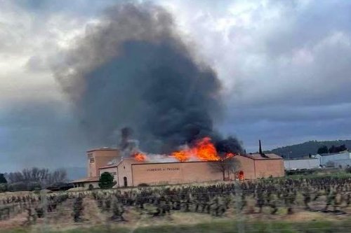 PHOTOS. Important incendie dans un célèbre domaine viticole de l'Hérault, un bâtiment de stockage de 4.000m2 détruit par le feu
