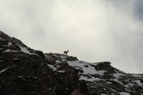 Photos. De la neige tombée au Cirque d'Anéou dans les Pyrénées, dernière sortie en ski de randonnée de l'année