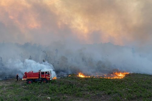 Un incendie ravage 700 hectares dans la forêt du Pugle, dans le Maine-et-Loire