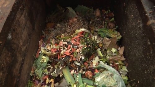 Environnement : pour le compost, des sacs pas vraiment biodégradables