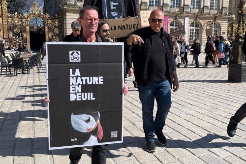 VIDEO. La nature en deuil, la Ligue de protection des oiseaux se mobilise, "on revient en arrière"