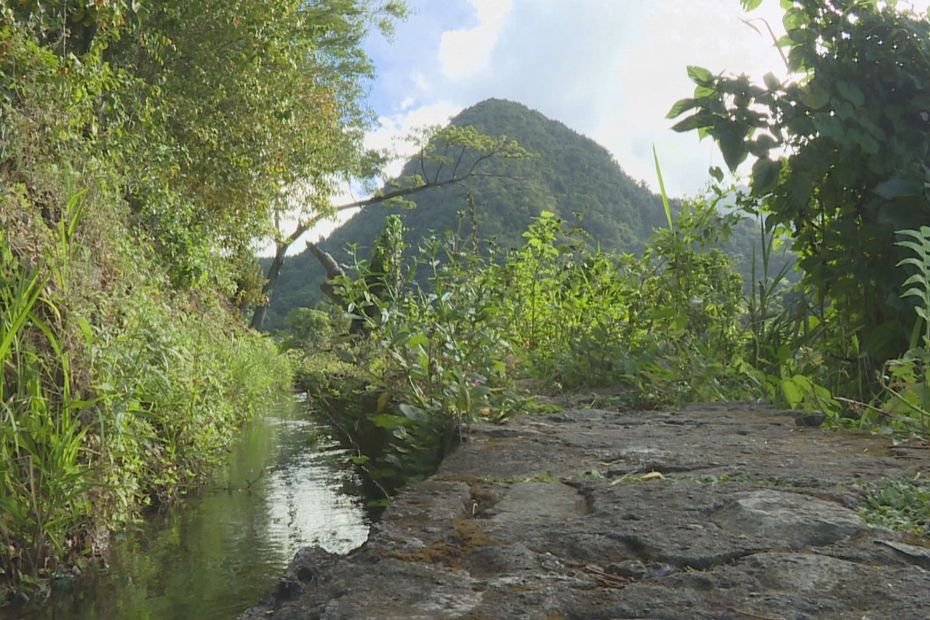 Martinique la 1ère - cover