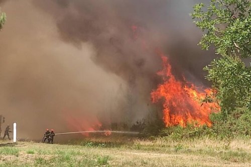 Gironde : trois incendies en cours dont deux reprises de feu près de Landiras