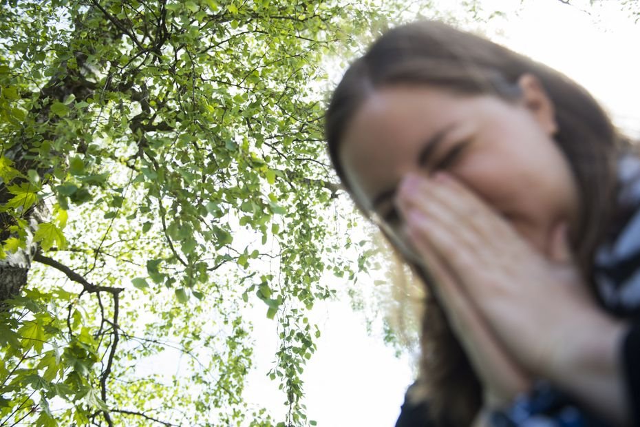 "Les pollens deviennent alors plus allergisants" : quand la pollution et la hausse des températures amplifient nos allergies