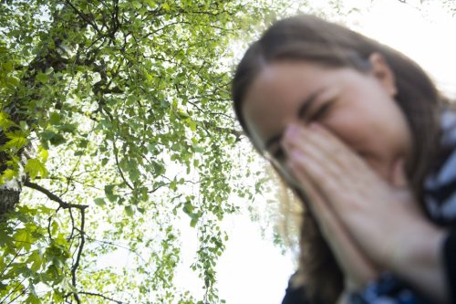 "Les pollens deviennent alors plus allergisants", quand la pollution et la hausse des températures amplifient nos allergies