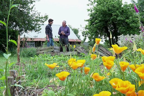 Près de Châteaubriant, en Loire-Atlantique : par le biais du woofing, Gérard le jardinier fait partager sa passion et offre gite et couvert