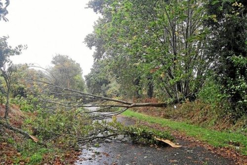 Tempête Aurore : en Bourgogne, le département de l'Yonne le plus touché par les dégâts