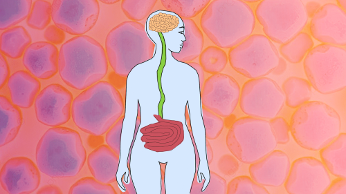 "80% de nos cerveaux sont dénutris" : comment notre alimentation influence notre santé mentale