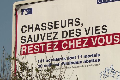 "Chasseurs, sauvez des vies, restez chez vous" : la fondation Brigitte Bardot relaxée