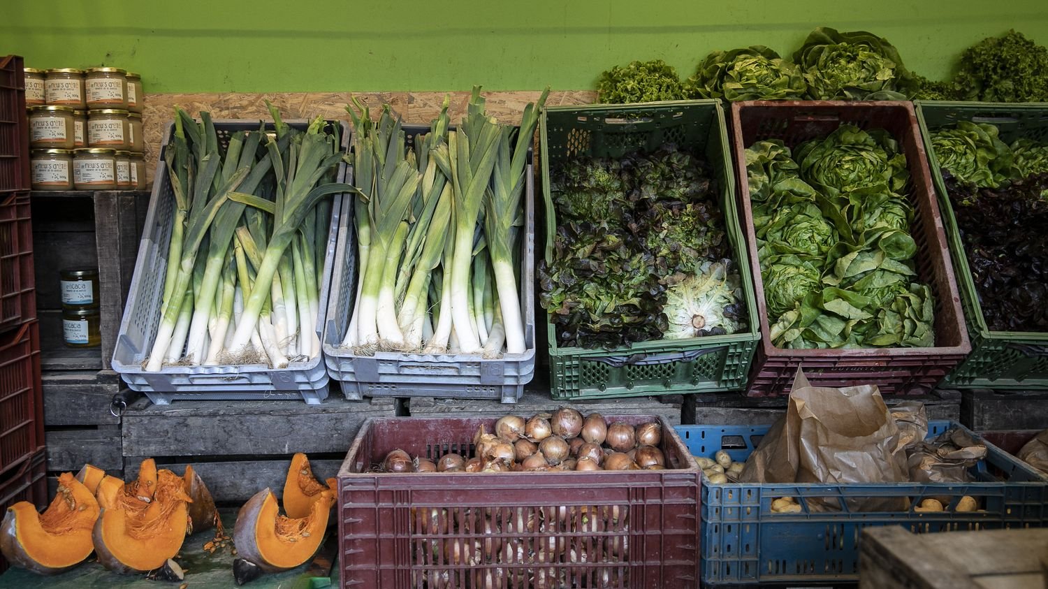 Et si on vous donnait 150 euros par mois pour bien manger ? On vous explique comment fonctionne la Sécurité sociale de l’alimentation