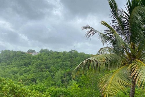 Le temps s'améliore en Martinique, retour au niveau de vigilance vert