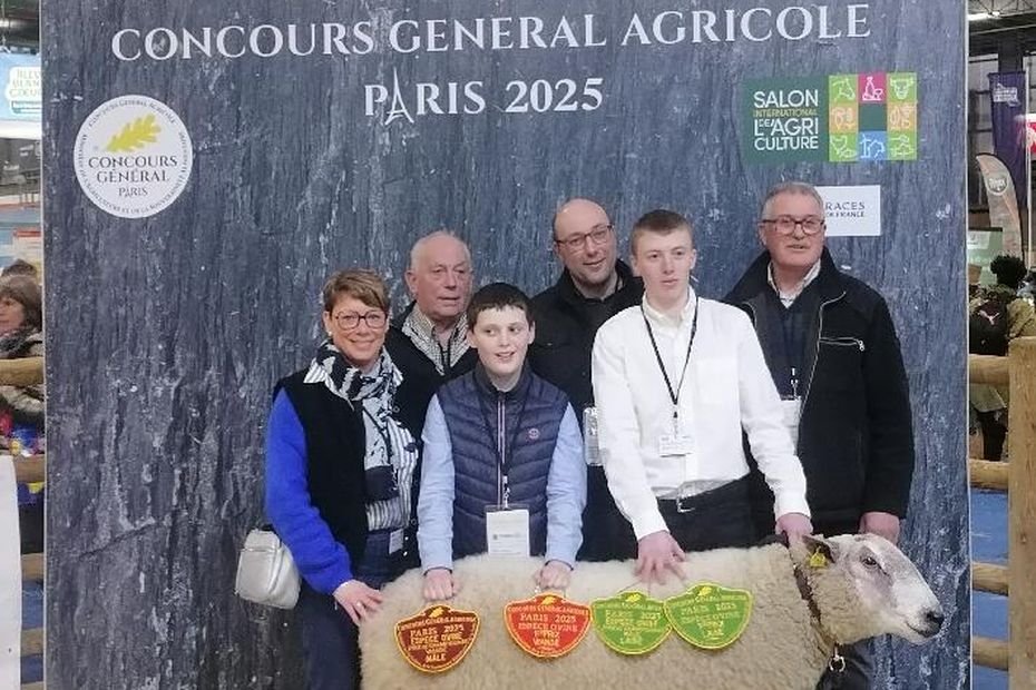 Salon de l’agriculture 2025 : quatre fois médaillé au concours agricole Ulysse, le mouton bête de concours, qui rafle tout