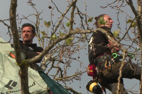 Thomas Brail a été délogé de son arbre devant le Ministère de la Transition écologique ce matin, il est reparti en ambulance