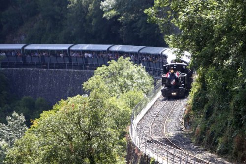 Sécheresse : le train de l'Ardèche probablement à l'origine de 5 nouveaux incendies, stoppe son activité