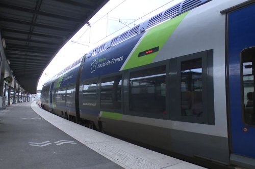 Trafic ferroviaire fortement perturbé entre Amiens et Paris après la chute d’un arbre sur les voies