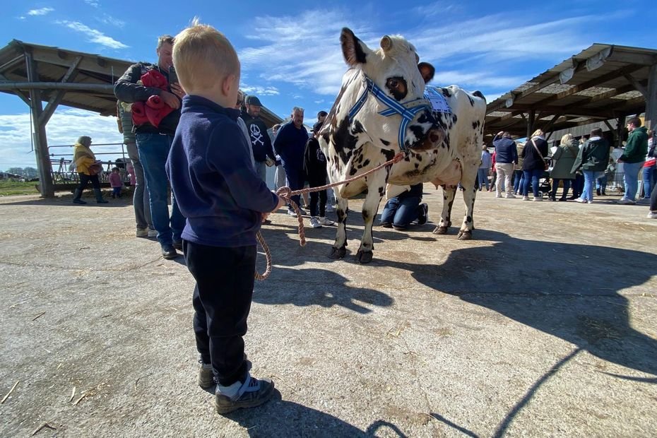 Pour Pâques, à Allouville-Bellefosse, les Jeunes Agriculteurs ont trouvé la bonne formule pour faire découvrir les métiers de la ferme
